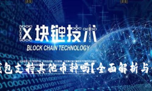 : 小狐钱包支持其他币种吗？全面解析与使用指南