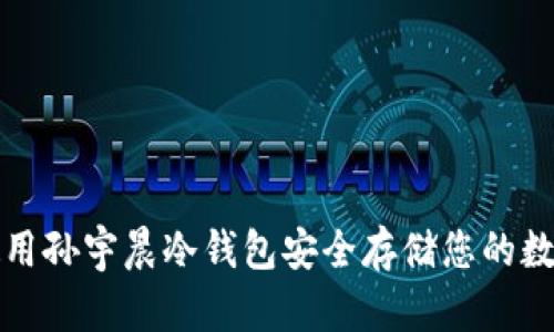 如何使用孙宇晨冷钱包安全存储您的数字资产
