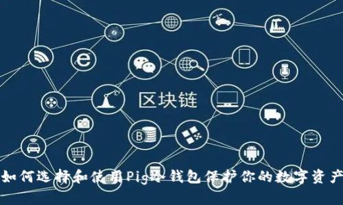 如何选择和使用Pig冷钱包保护你的数字资产
