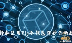 如何选择和使用Pig冷钱包保护你的数字资产