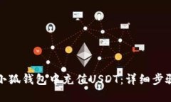 如何在小狐钱包中充值USDT：详细步骤与技巧
