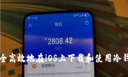 如何安全高效地在iOS上下载和使用冷钱包应用