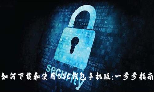 如何下载和使用BSC钱包手机版：一步步指南