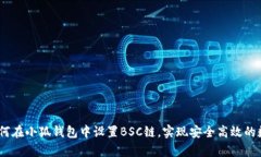全面解析：如何在小狐钱包中设置BSC链，实现安