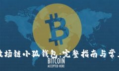 如何配置波场链小狐钱包：完整指南与常见问题