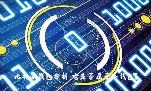 比特派钱包分析：它是否属于冷钱包？