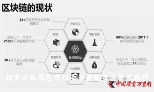 探索小狐钱包中的两种金额及其使用技巧