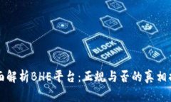 全面解析BHE平台：正规与否的真相揭示