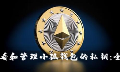 如何查看和管理小狐钱包的私钥：全面指南