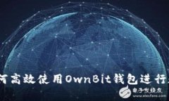 全面解析：如何高效使用OwnBit钱包进行数字资产