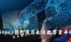 虚拟币GOpay钱包带您走进数字货币的新世界