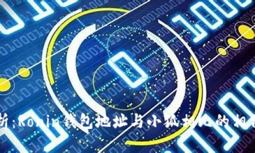 深入解析：Ronin钱包地址与小狐相比的相似性原因