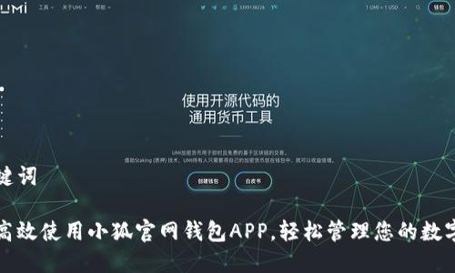 和关键词

如何高效使用小狐官网钱包APP，轻松管理您的数字资产