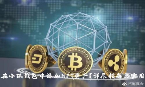 如何在小狐钱包中添加NFT资产？详尽指南与实用技巧