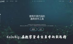 CoinBig：在数字货币交易中的新选择