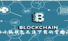解决MetaMask小狐钱包无法下载的常见问题及解决方