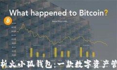 全方位解析火小狐钱包：一款数字资产管理的利