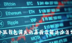 : 小狐钱包消失的原因及解决办法分析