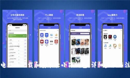 如何在电脑上下载和安装软小狐钱包：详细步骤与注意事项