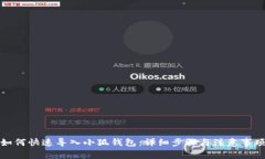 如何快速导入小狐钱包：详细步骤与注意事项
