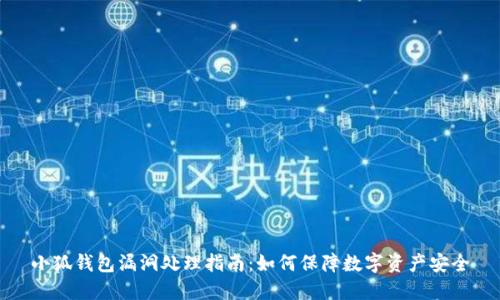 小狐钱包漏洞处理指南：如何保障数字资产安全