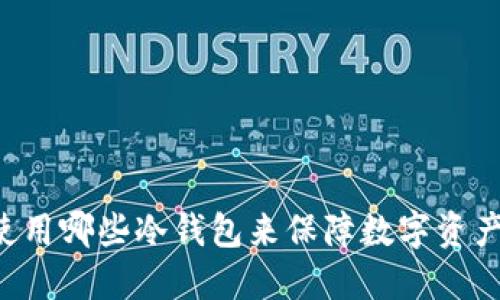 巴西使用哪些冷钱包来保障数字资产安全?