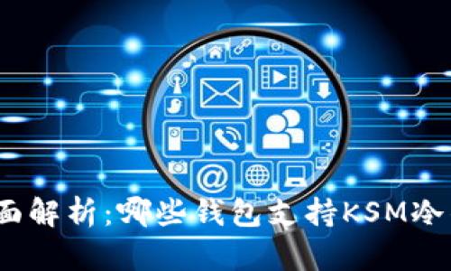 : 全面解析：哪些钱包支持KSM冷钱包？