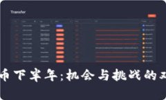 Solana币下半年：机会与挑战的双面之路