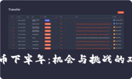Solana币下半年：机会与挑战的双面之路