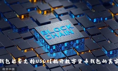 小狐钱包能否支持USDT？揭开数字货币钱包的真实面纱