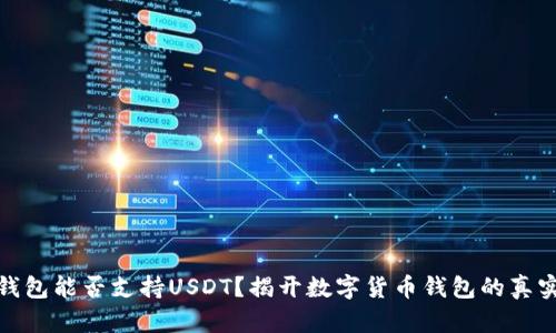 小狐钱包能否支持USDT？揭开数字货币钱包的真实面纱