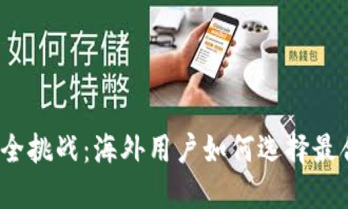 数字资产的安全挑战：海外用户如何选择最合适的冷钱包？