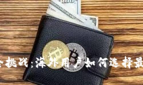 数字资产的安全挑战：海外用户如何选择最合适的冷钱包？