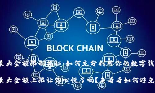 小狐钱包最大金额限制揭秘：如何充分利用你的数字钱包？

小狐钱包最大金额上限让你心慌了吗？来看看如何避免超限烦恼！