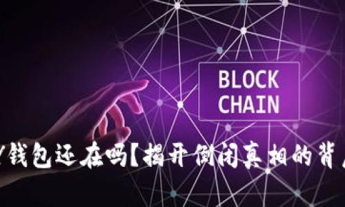 你的MY钱包还在吗？揭开倒闭真相的背后谜团！