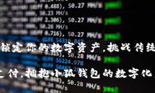 小狐钱包：锁定你的数字资产，挑战传统支付方式！

告别传统支付，拥抱小狐钱包的数字化未来！