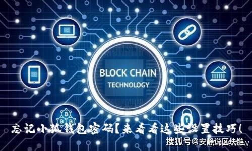 忘记小狐钱包密码？来看看这些设置技巧！