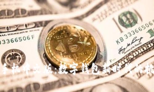 小狐钱包手机中文版：数字钱包新时代的挑战与机遇