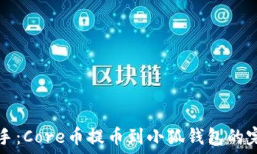 ———————————————————

轻松上手：Core币提币到小狐钱包的完整指南