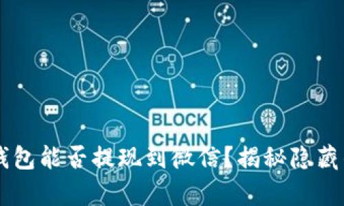 Topay钱包能否提现到微信？揭秘隐藏的答案！