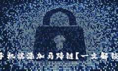 如何在小狐钱包手机端添加马蹄链？一文解锁你