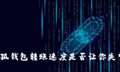 小狐钱包转账速度是否让你失望？