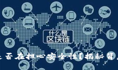 小狐钱包：你是否在担心安全性？揭秘背后的保障措施！