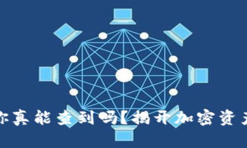 冷钱包地址：你真能查到吗？揭开加密资产背后的秘密！