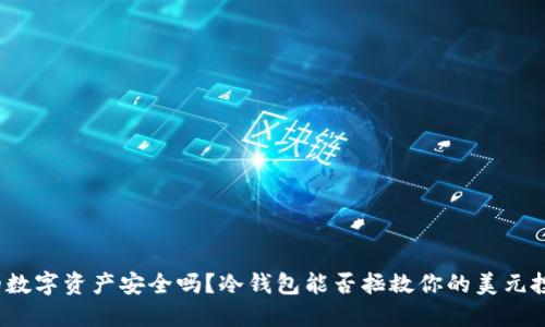 你的数字资产安全吗？冷钱包能否拯救你的美元投资？