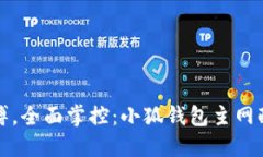 突破束缚，全面掌控：小狐钱包主网配置指南