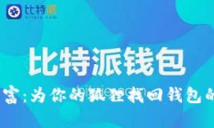  失落的财富：为你的狐狸找回钱包的奇幻冒险