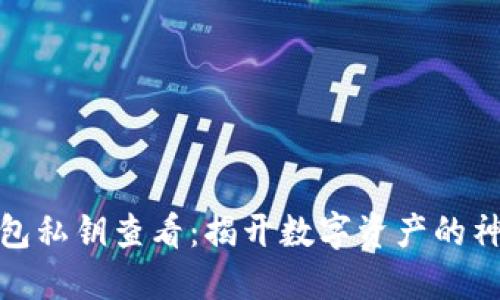 小狐钱包私钥查看：揭开数字资产的神秘面纱