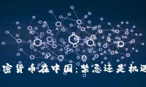 加密货币在中国：禁忌还是机遇？