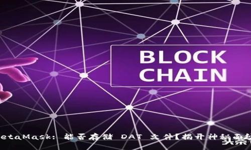 MetaMask: 能否存储 DAT 文件？揭开神秘面纱！